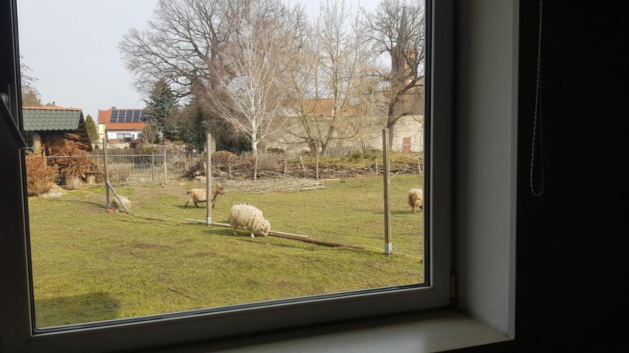 Zimmervermietung Zahn Baalberge Экстерьер фото
